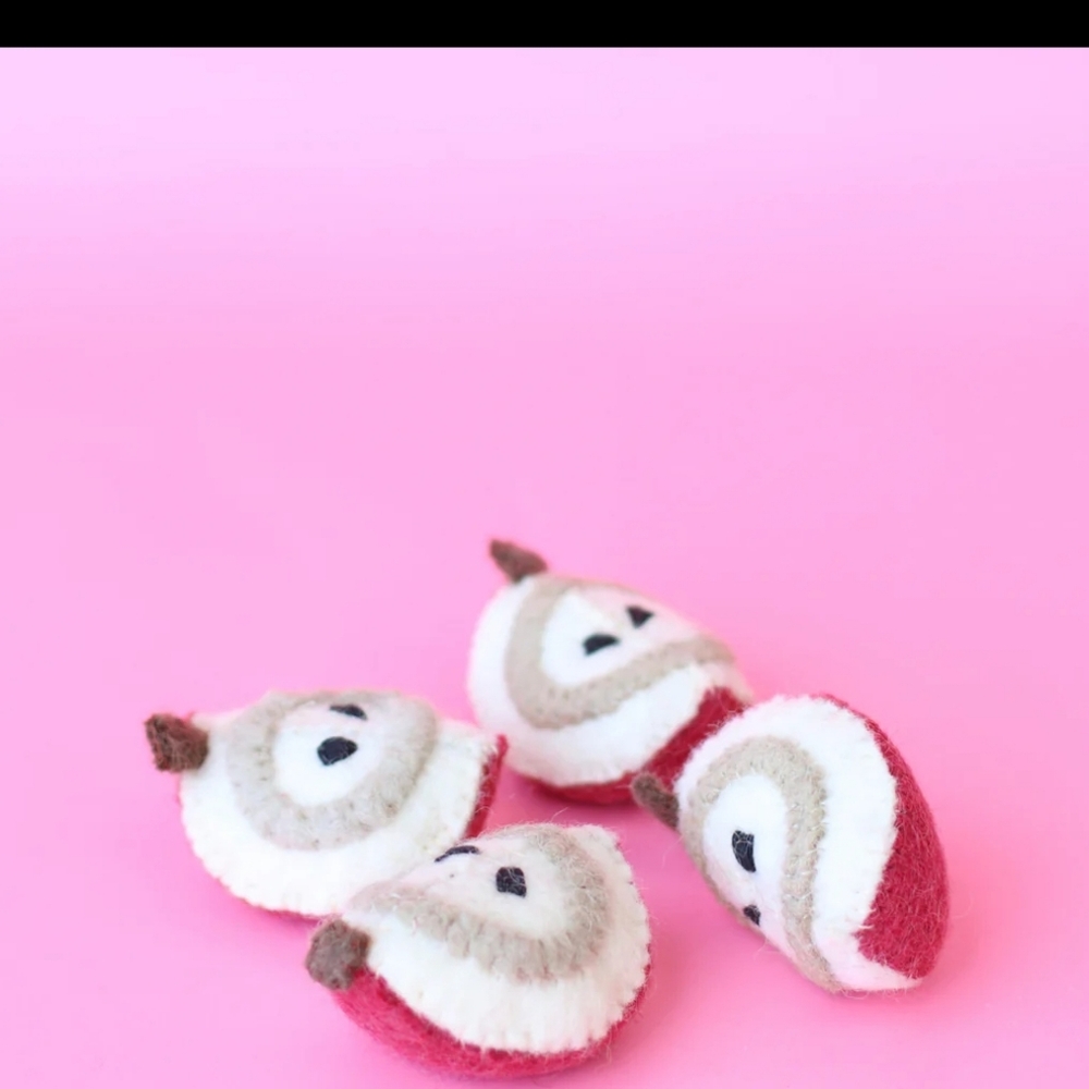 Handmade Kids Felt Apple Slices Papoose Natural Eco Friendly